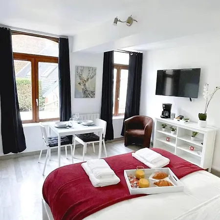 Apartman Le Des Arcades, 26m² Hyper Centre